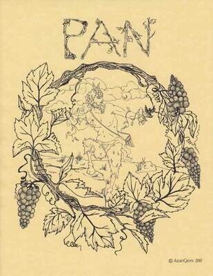 11&quot; Joyful Pan Poster