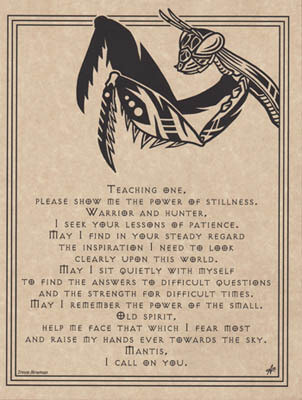 11&quot; Mantis Prayer Poster