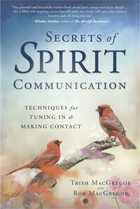 Secrets Of Spirit Communication
