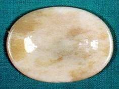 1.5&quot; Bone Worry Stone