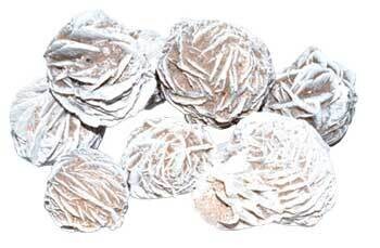 Desert Rose
