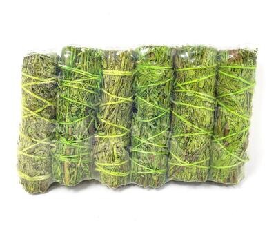 Patchouli Sage 4&quot;+