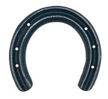 4&quot; Good Luck Horseshoe
