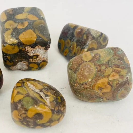 Flower Jasper Tumble