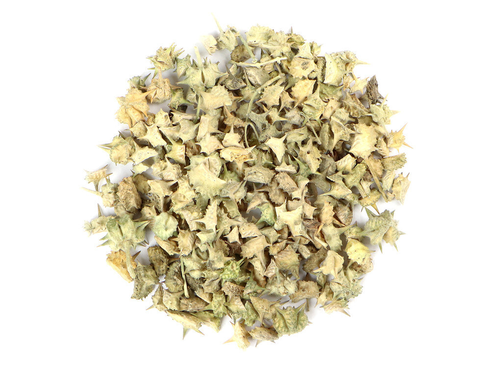 Tribulus Fruit Whole