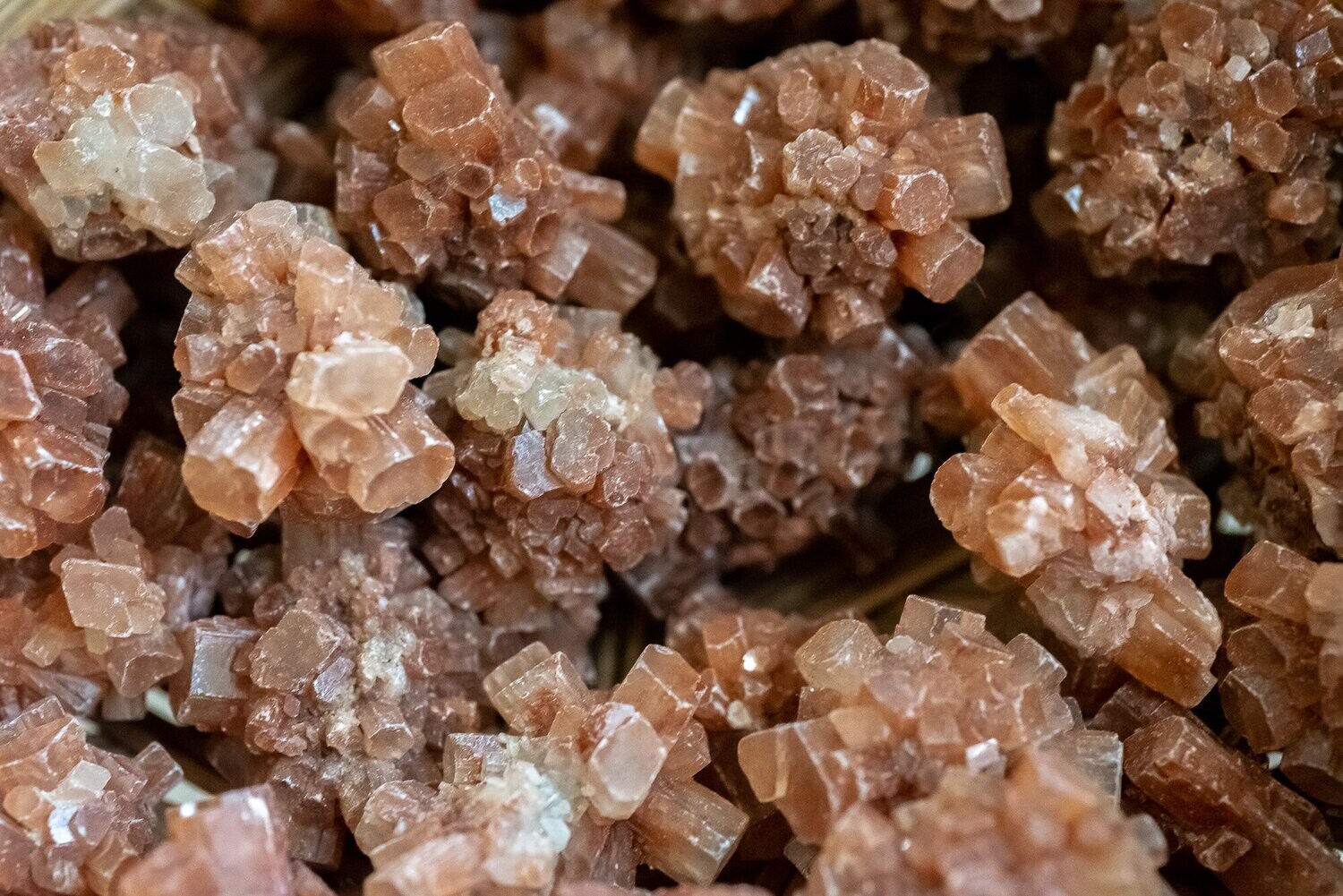 Moroccan Star Aragonite Cluster 1&quot; - 2&quot;