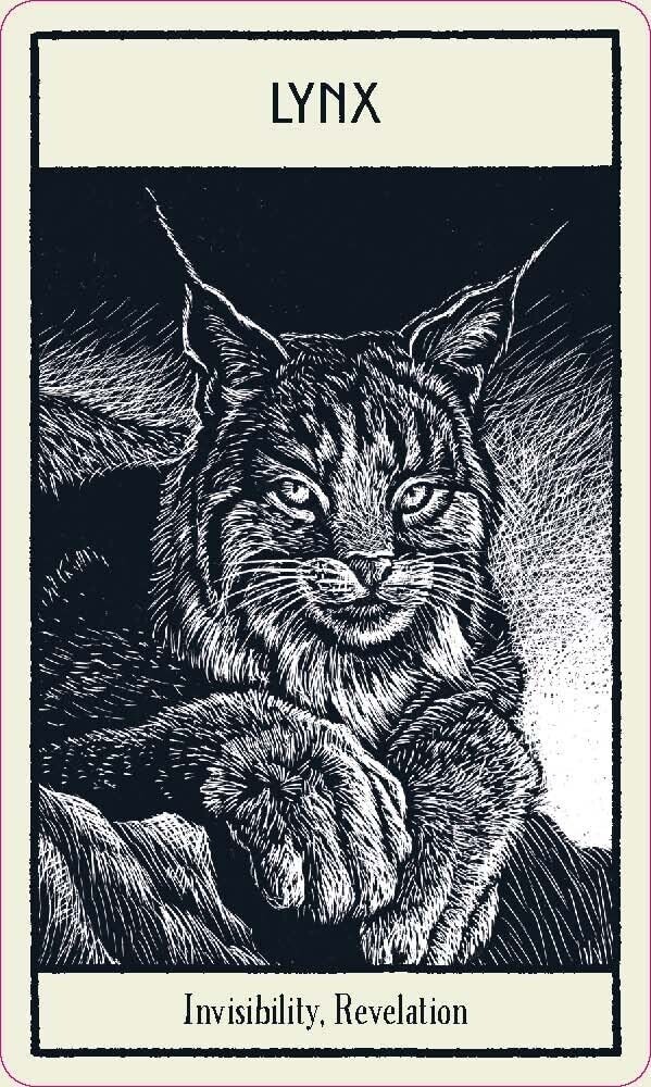 Untamed Spirit Animal Oracle