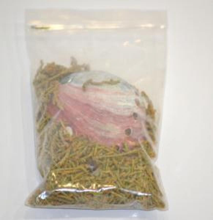 Juniper Loose Sage with Abalone
