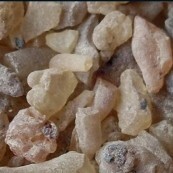 Peruvian Golden Copal Resin