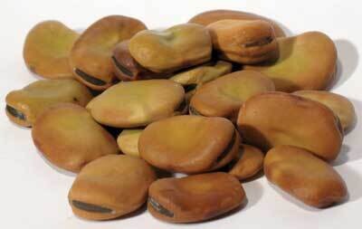 Mojo Wish Bean - 1 Bean