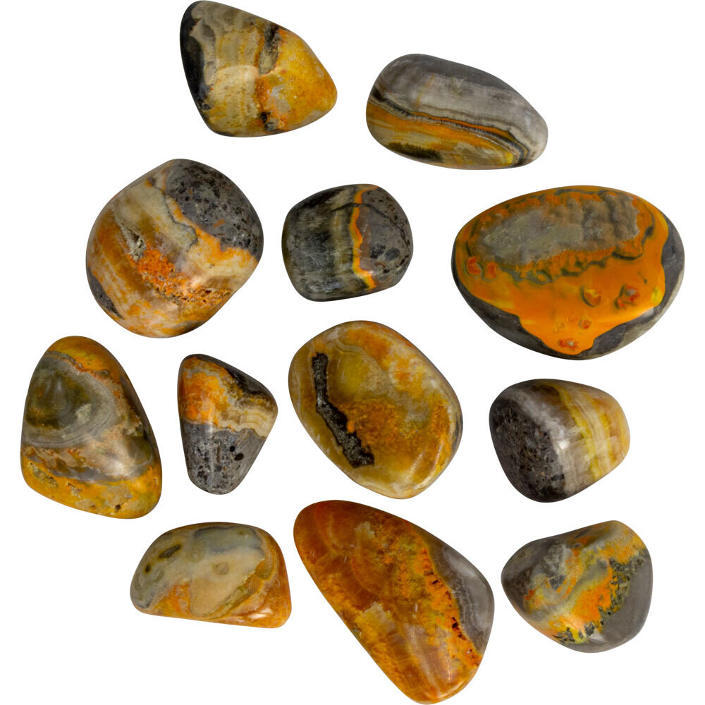 Bumblebee Jasper Tumble