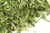 Skullcap: Organic