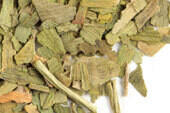 Ginkgo Leaf