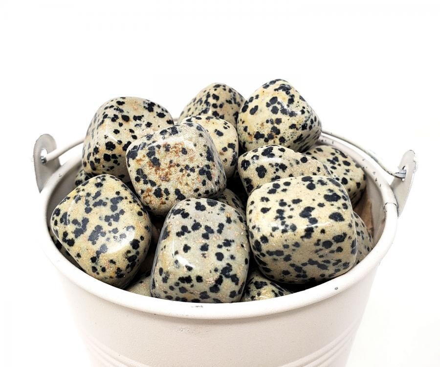 Dalmatian Jasper Tumble
