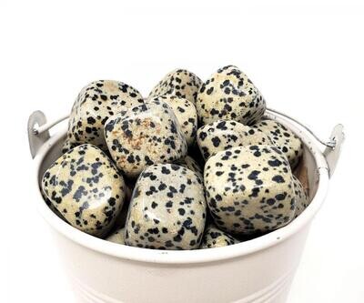 Dalmatian Jasper Tumble
