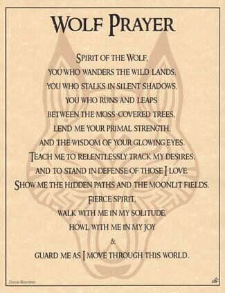 Wolf Prayer Poster