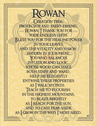 ROWAN TREE POSTER