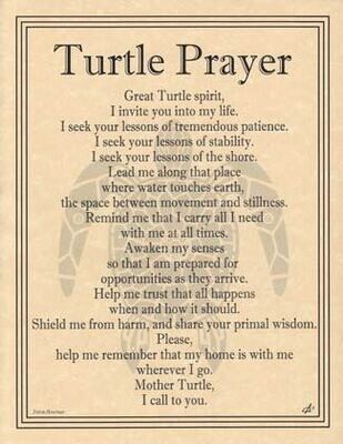 Turtle Prayer Poster