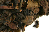 Oolong Tea