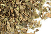 Lobelia Cut