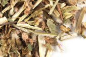 Motherwort Organic