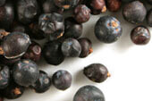 Juniper Berry: Whole