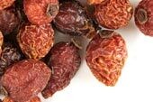 Rosehips
