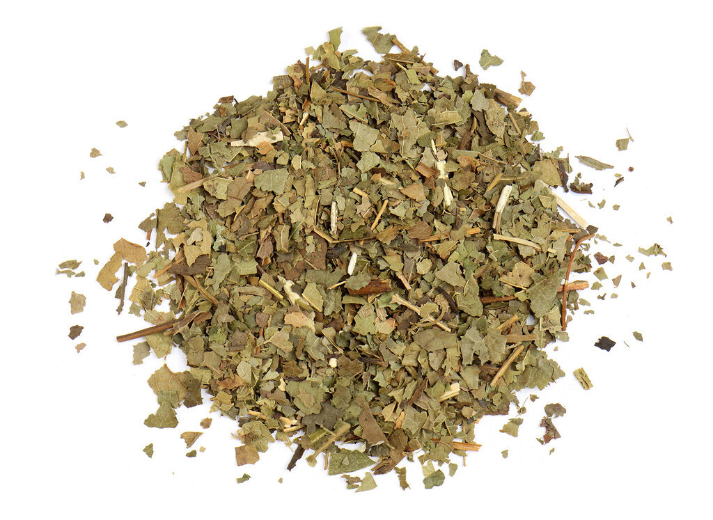 Sassafras Leaf