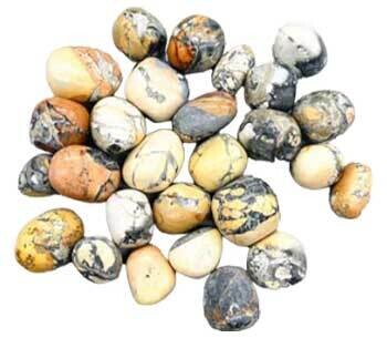 Maligano Jasper Tumble