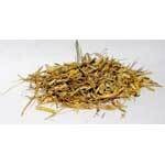 Witches Grass