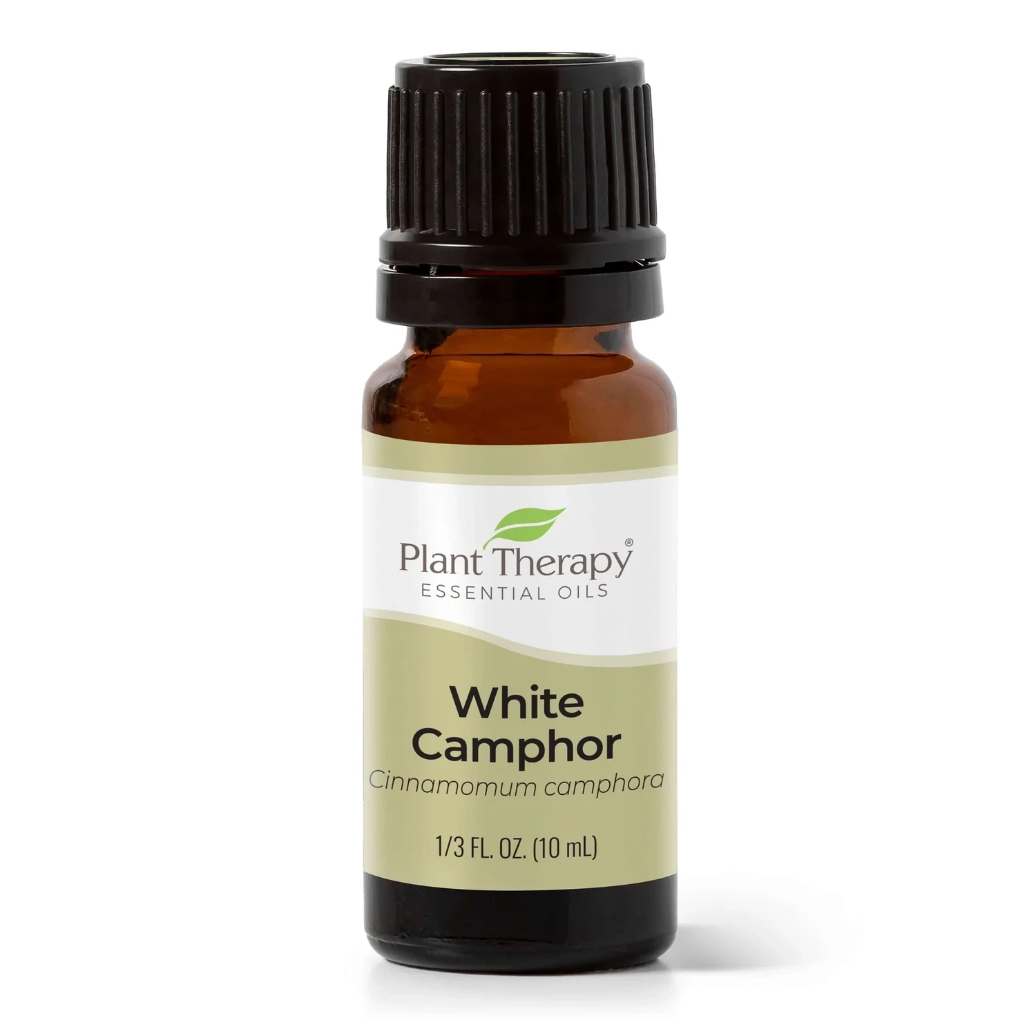 Camphor White Essential Oil