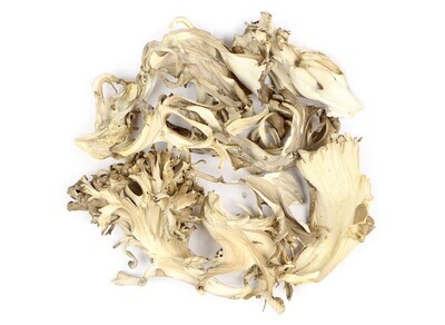 Maitake Mushroom Organic