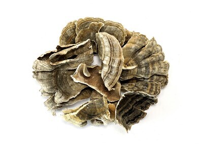Turkey Tail Mushroom Whole Organic