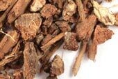White Oak Bark Wildcrafted