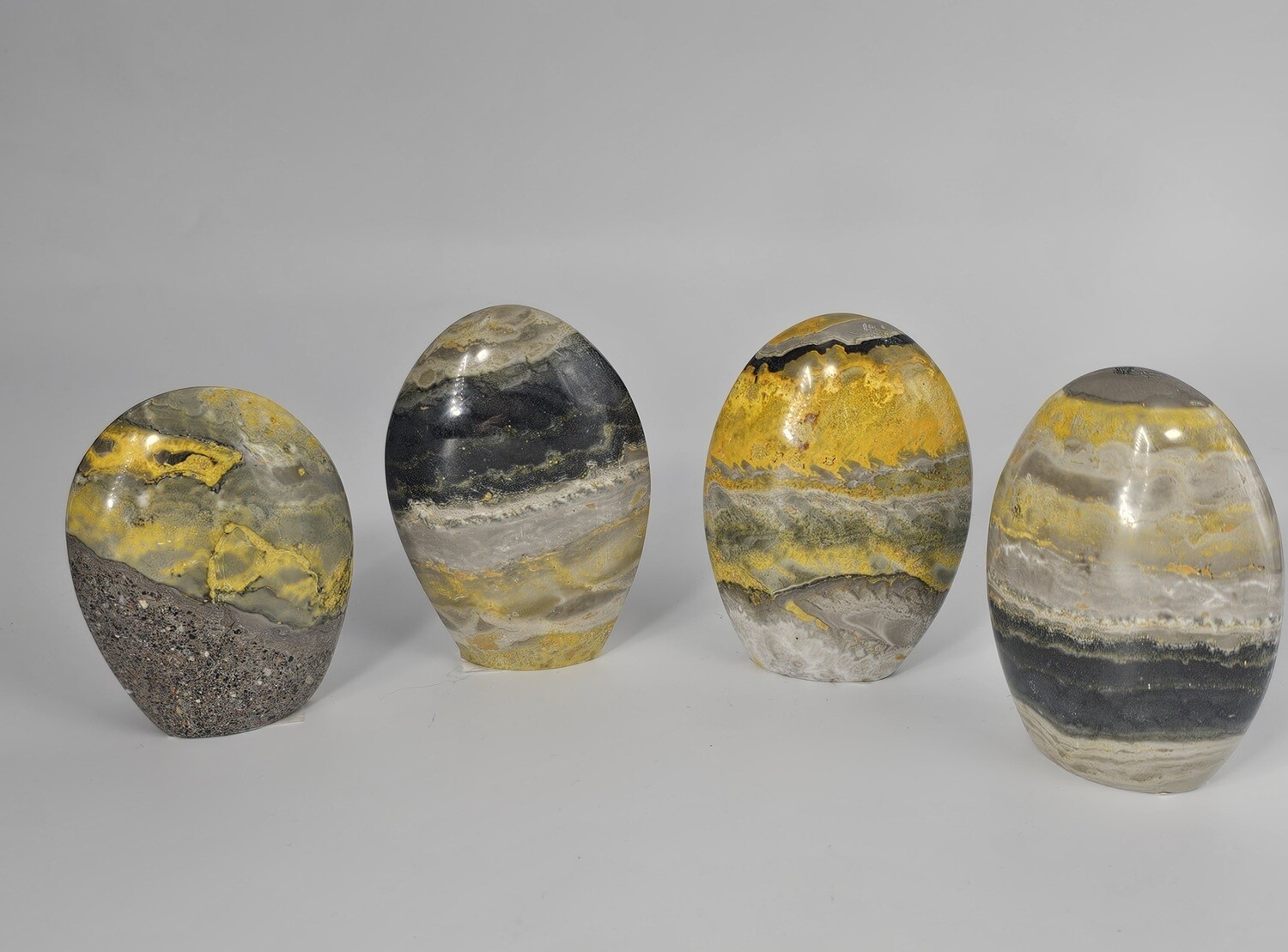 Bumblebee Jasper Standing Dome
