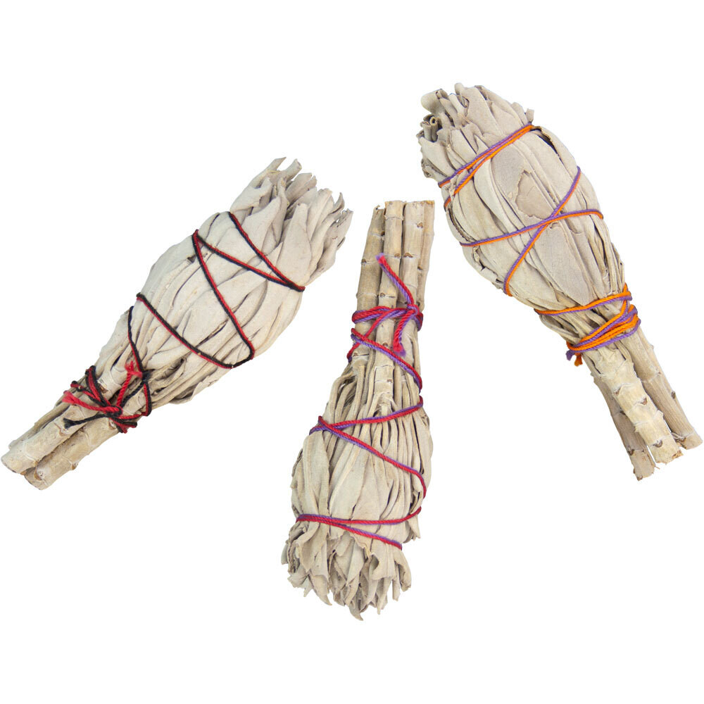 Bulb Sage