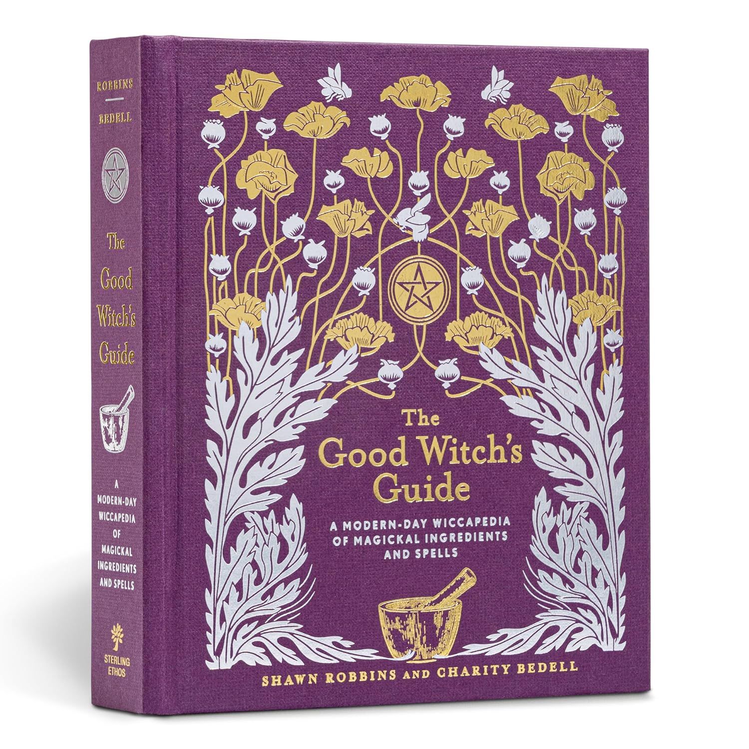 The Good Witch&#39;s Guide