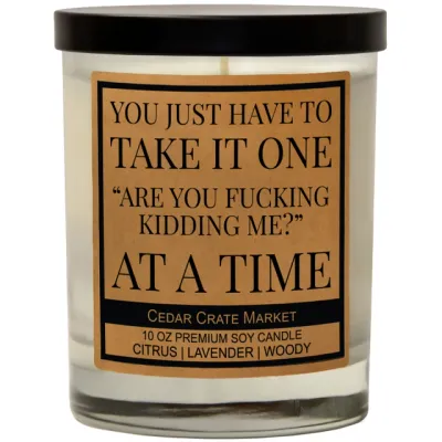 You Just Have To Take It One &quot;Are You Fucking Kidding Me?&quot; At A Time