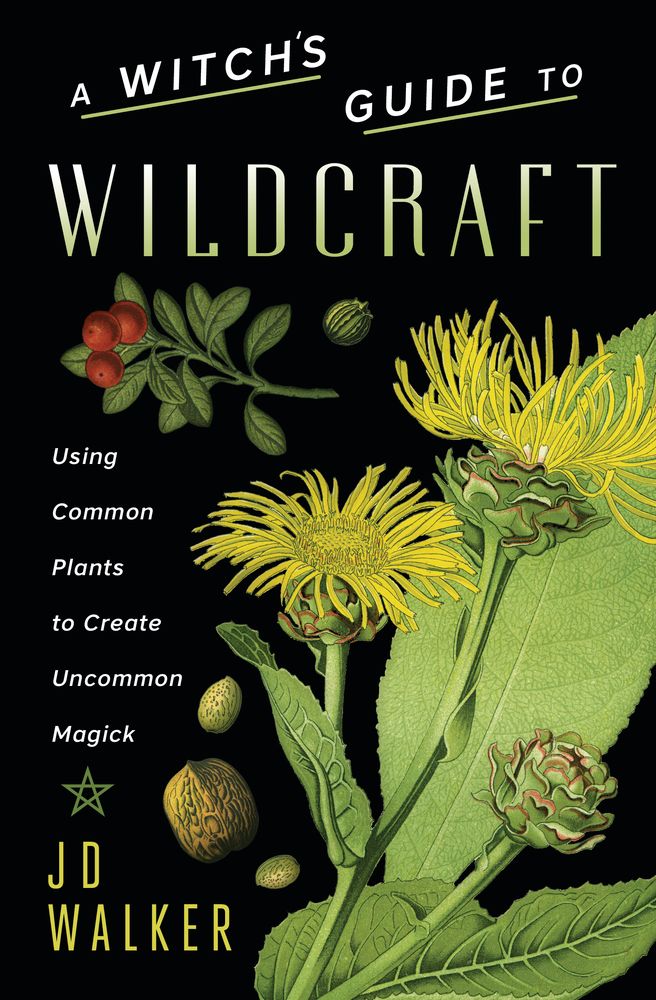 A Witch&#39;s Guide To Wildcraft