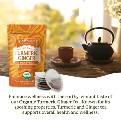 Turmeric Ginger Organic Tea Bags (20pk)