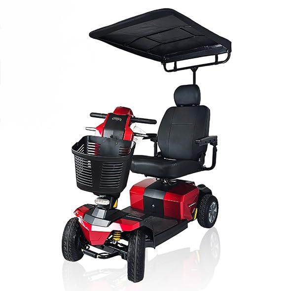 Rental Scooter Canopy