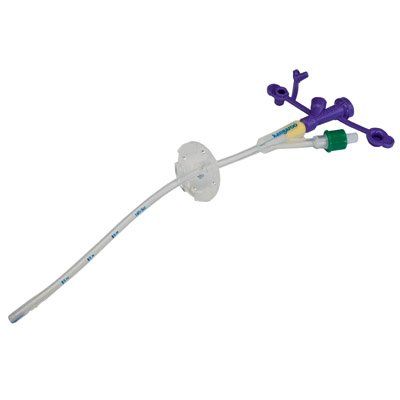 Gastrostomy Tube with Y Ports Kangaroo™ Gastrostomy Tube with Y Ports Kangaroo™