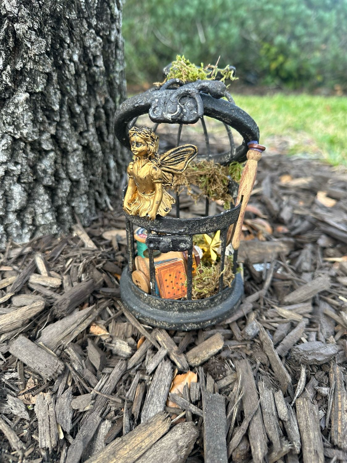Fairy Cage