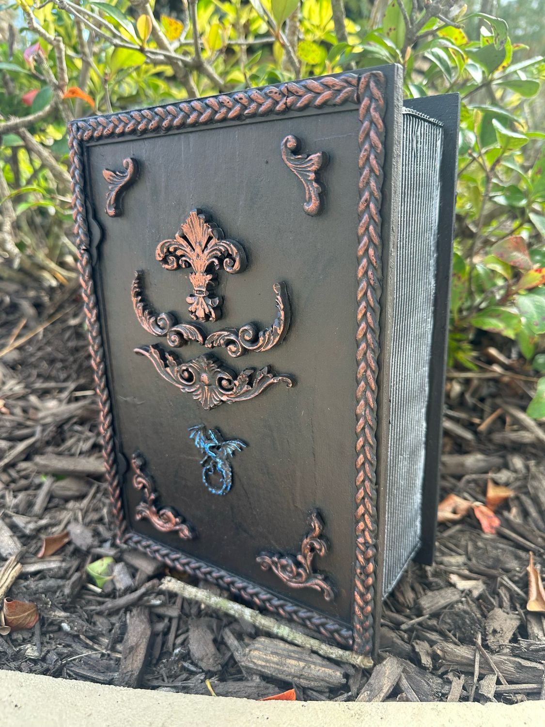 Dragonology Book Box