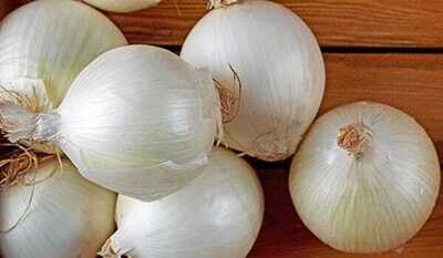 white onion بصل أبيض