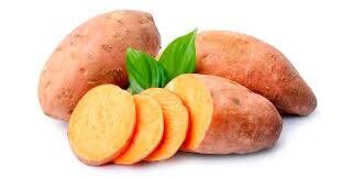 SWEET POTATO بطاطس حلوة
