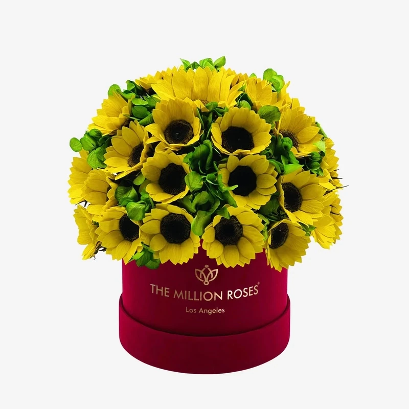 Classic Box | Bordeauxrot | Suede | Sonnenblumen & Grüne Hortensien