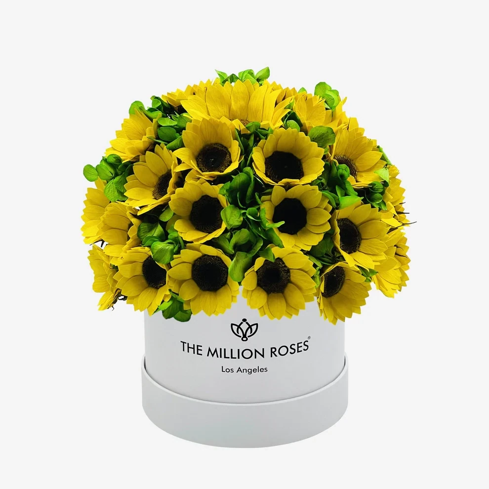 Classic Box | Spiegelgold | Sonnenblumen & Grüne Hortensien