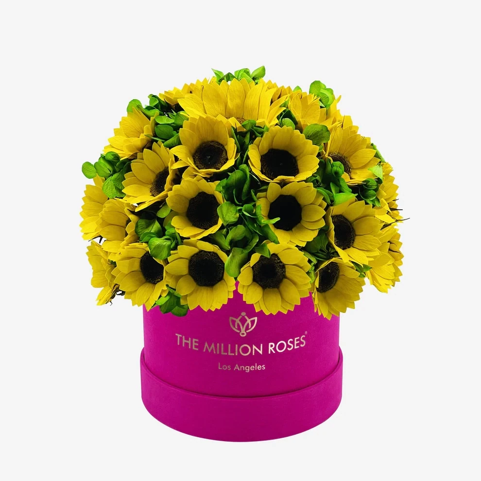 Classic Box | Leuchtendes Pink | Suede | Sonnenblumen & Grüne Hortensien