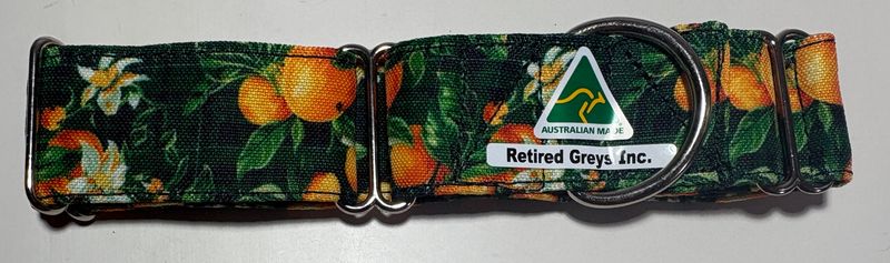 Classic Orange Fruit